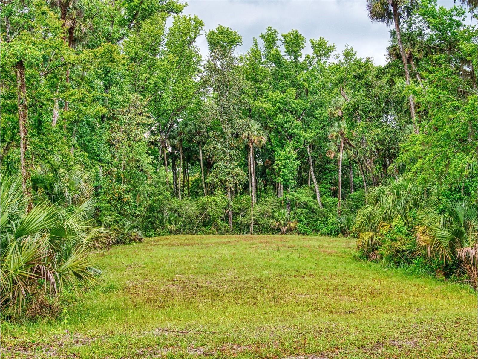 2327 Legacy Lane New Smyrna Beach FL 32168 NS1087173 image37