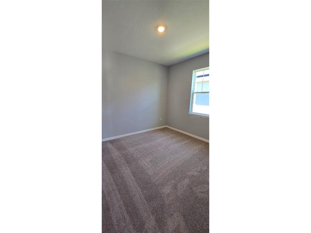 2327 Selenia Street Lake Alfred FL 33850 C7517034 image12