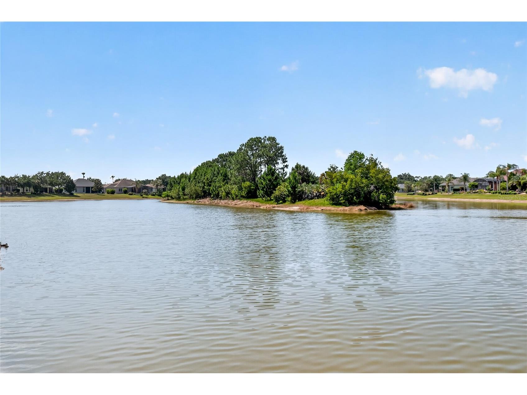 2327 Wakefield Way Mount Dora FL 32757 - UNNAMED - LAKES OF MOUNT DORA G5112193 image45