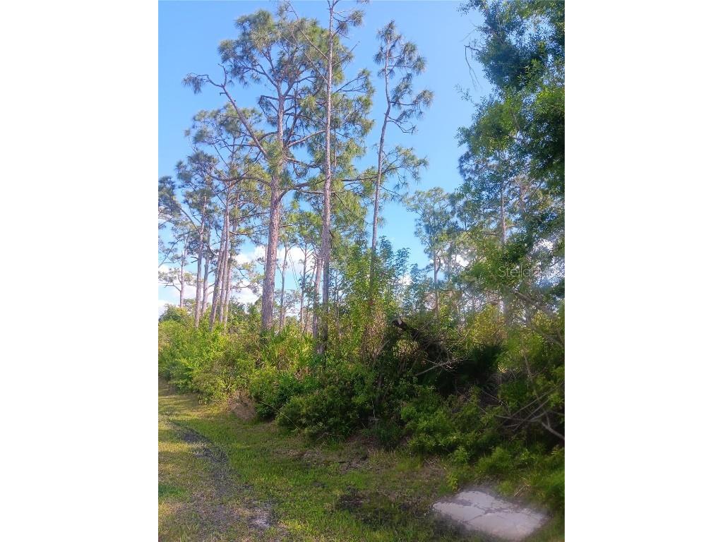 23273 Mcmullen Avenue Port Charlotte FL 33980 A4599471 image1