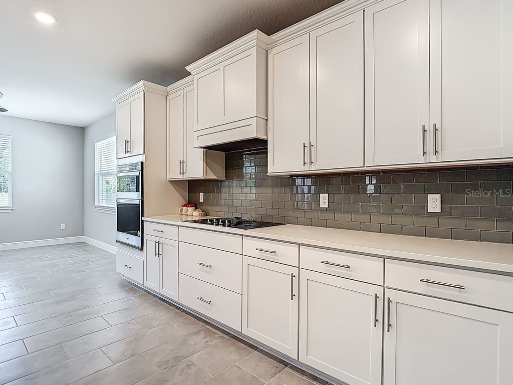 23278 Scaglione Drive Lutz FL 33549 TB8498497 image11