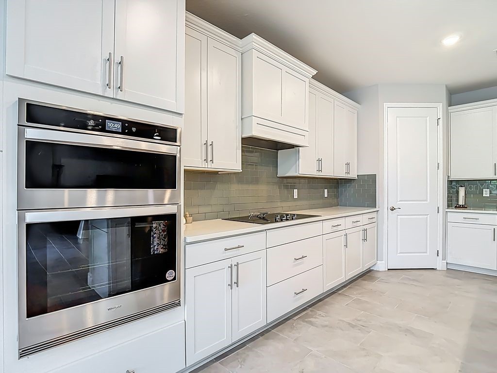 23278 Scaglione Drive Lutz FL 33549 TB8498497 image12