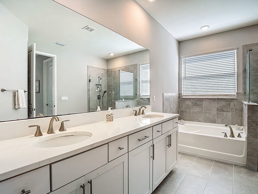 23278 Scaglione Drive Lutz FL 33549 TB8498497 image19