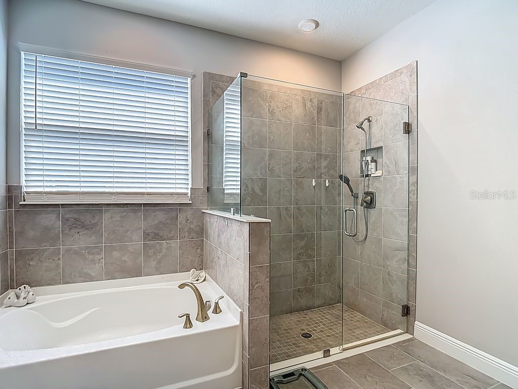 23278 Scaglione Drive Lutz FL 33549 TB8498497 image20