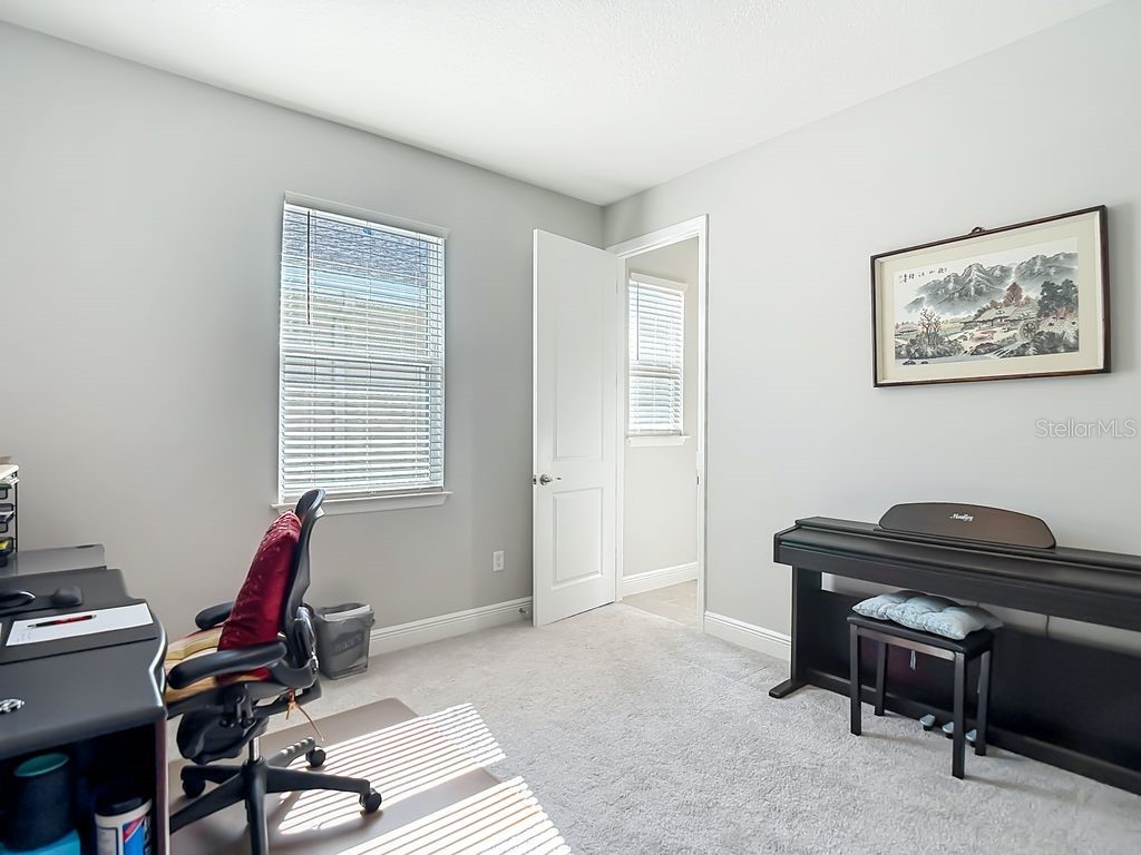 23278 Scaglione Drive Lutz FL 33549 TB8498497 image21