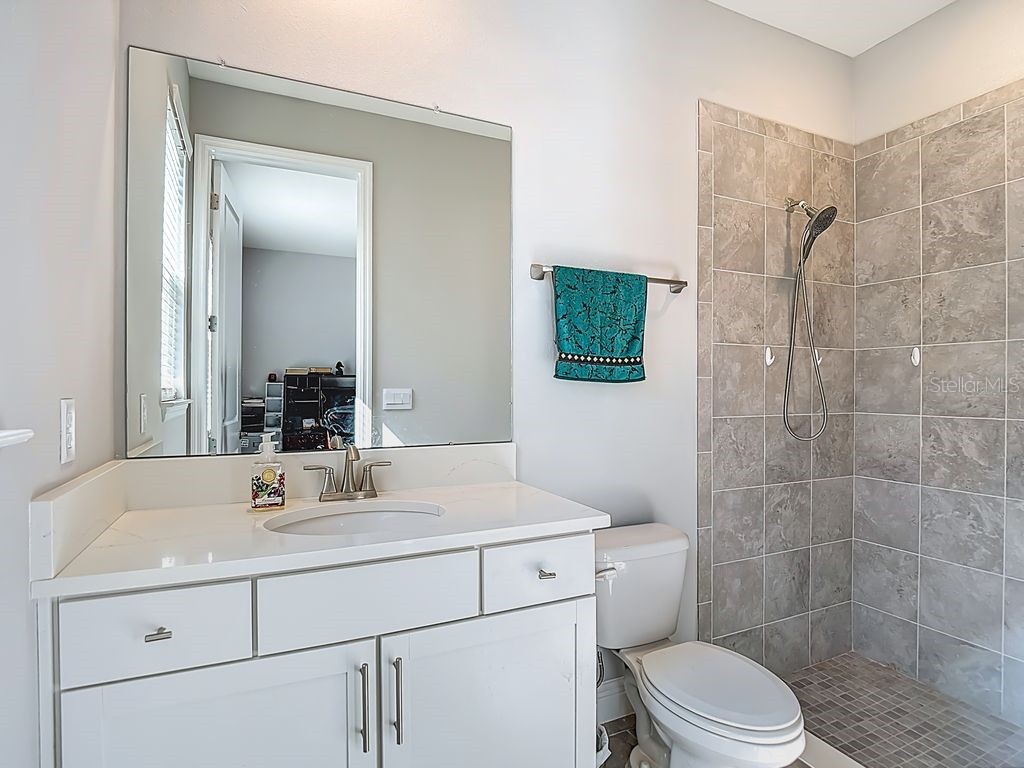 23278 Scaglione Drive Lutz FL 33549 TB8498497 image26