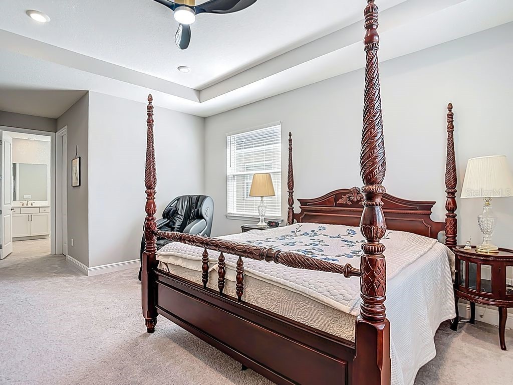 23278 Scaglione Drive Lutz FL 33549 TB8498497 image3