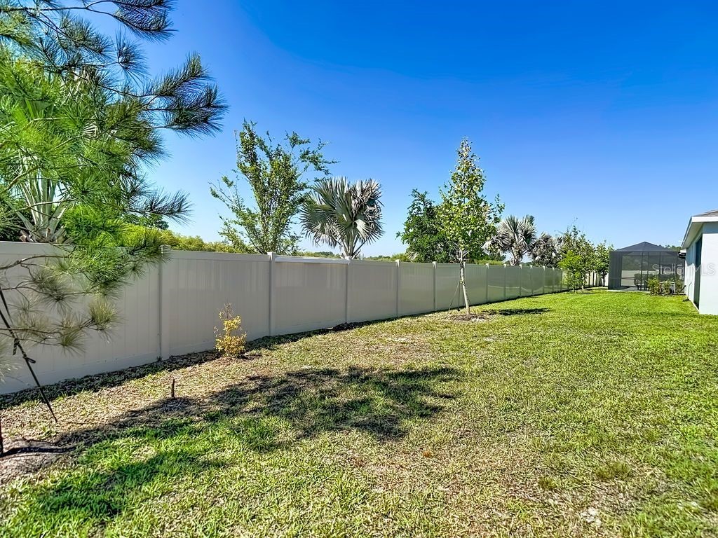 23278 Scaglione Drive Lutz FL 33549 TB8498497 image32