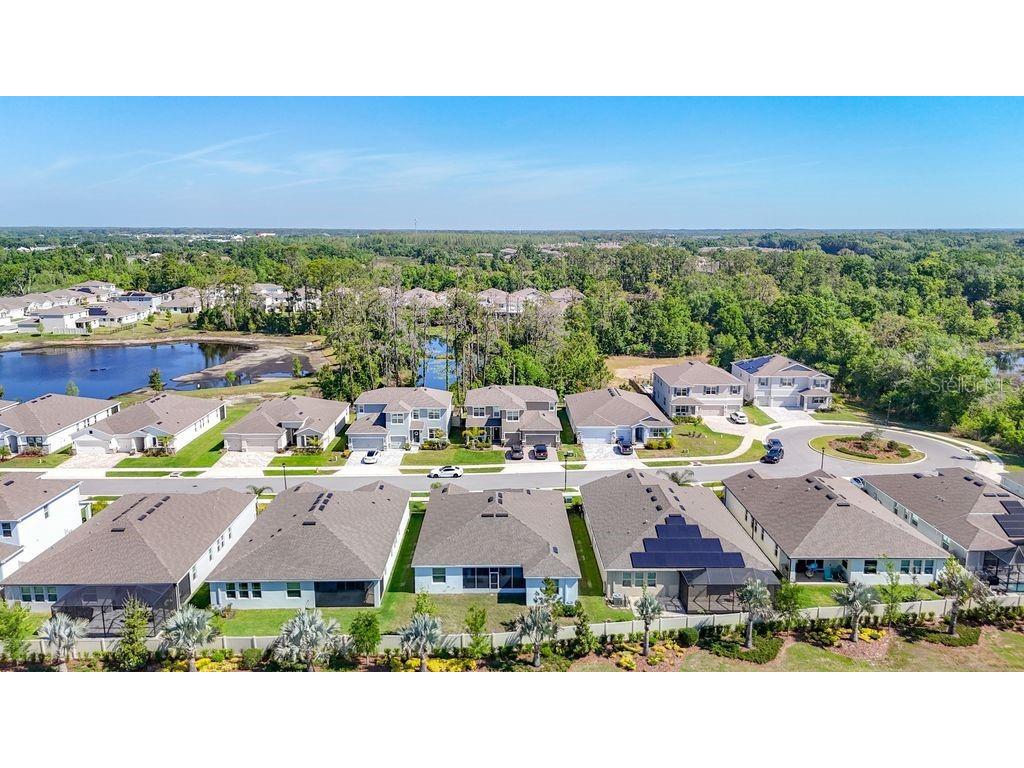 23278 Scaglione Drive Lutz FL 33549 TB8498497 image35