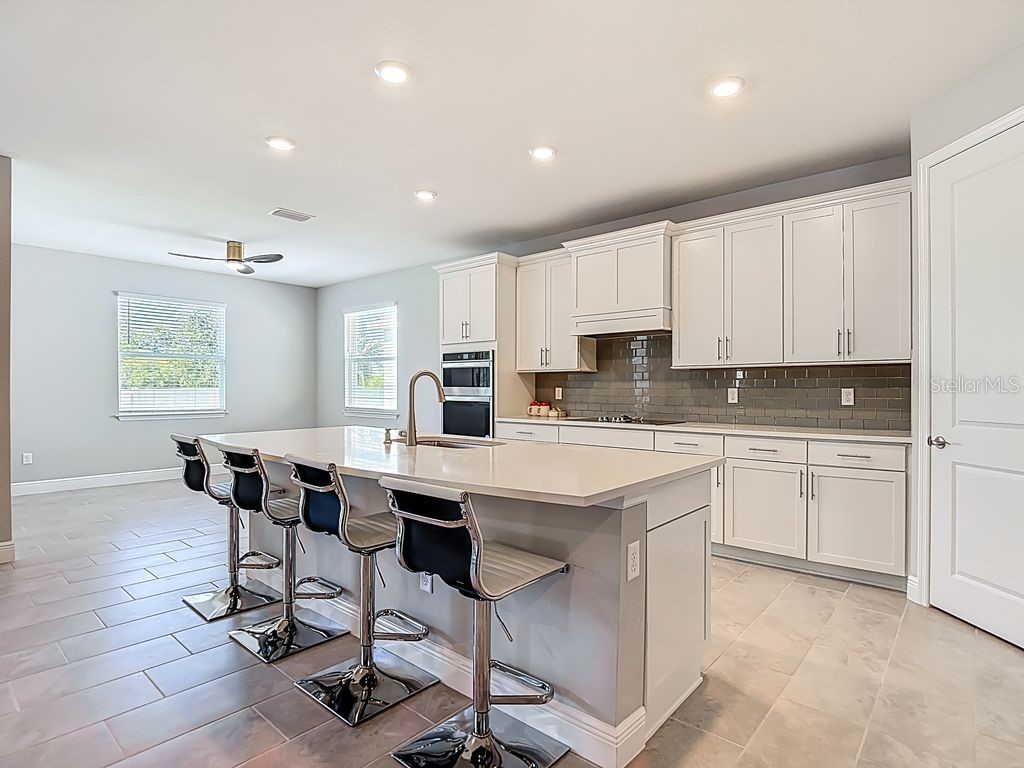 23278 Scaglione Drive Lutz FL 33549 TB8498497 image6