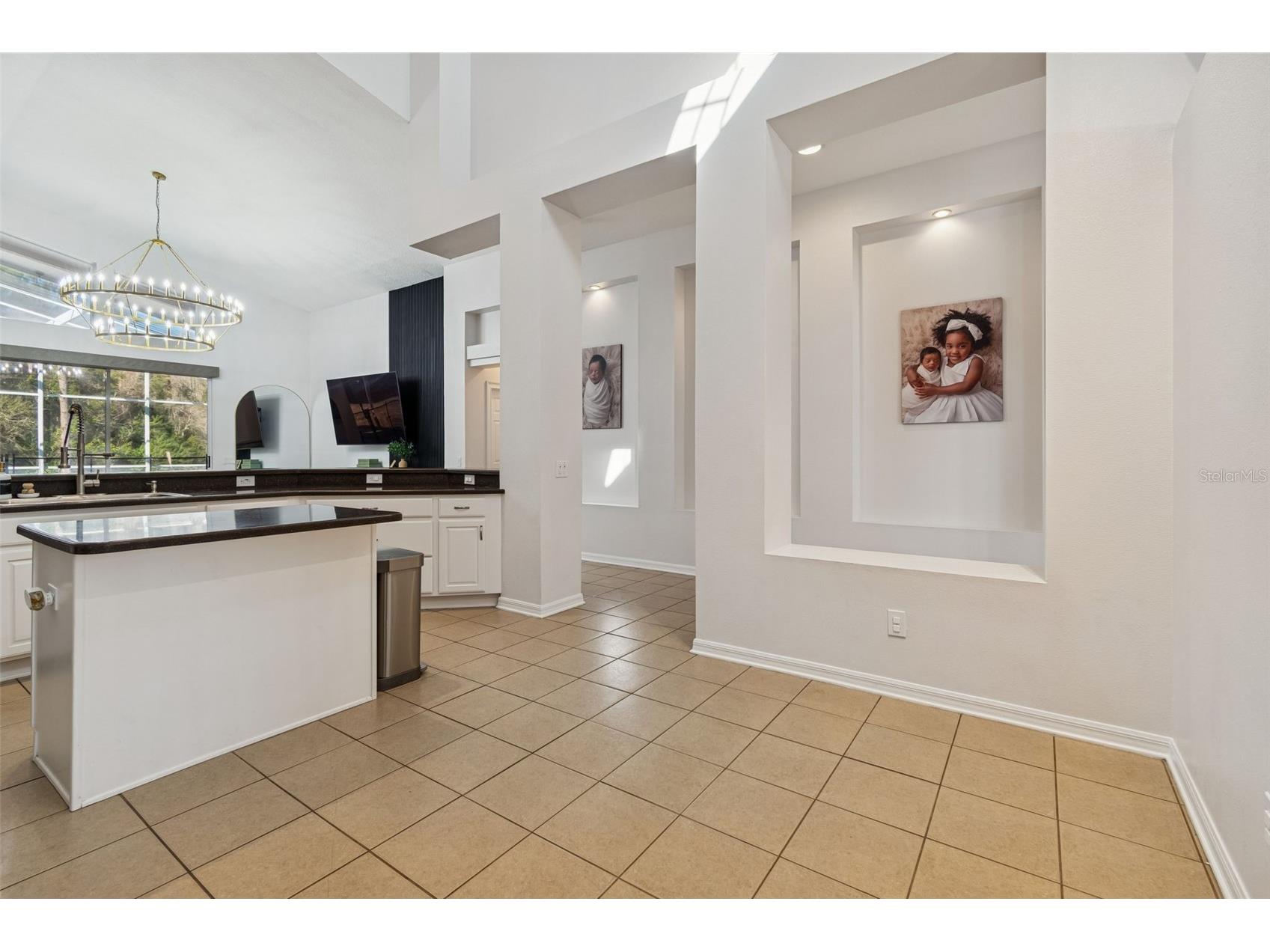 2328 Brinley Drive Trinity FL 34655 TB8472186 image16