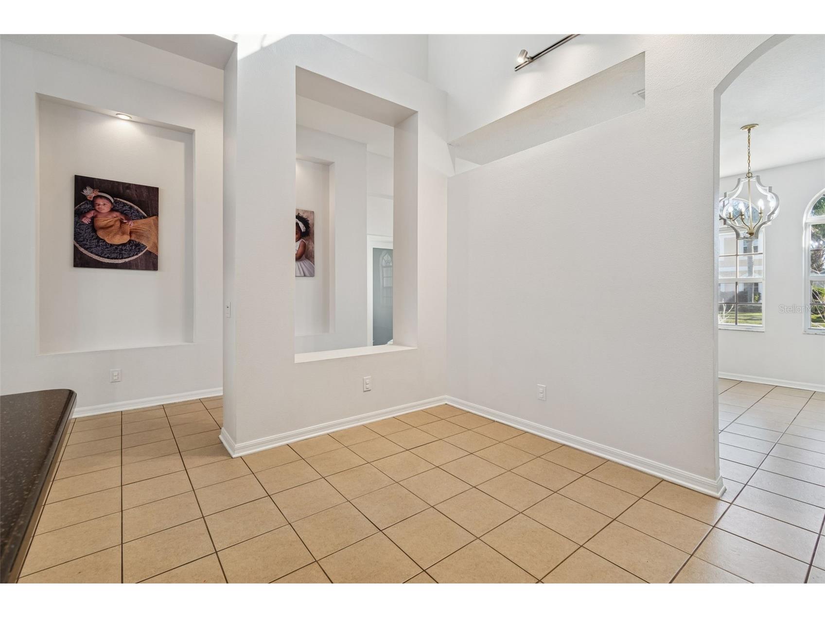 2328 Brinley Drive Trinity FL 34655 TB8472186 image17