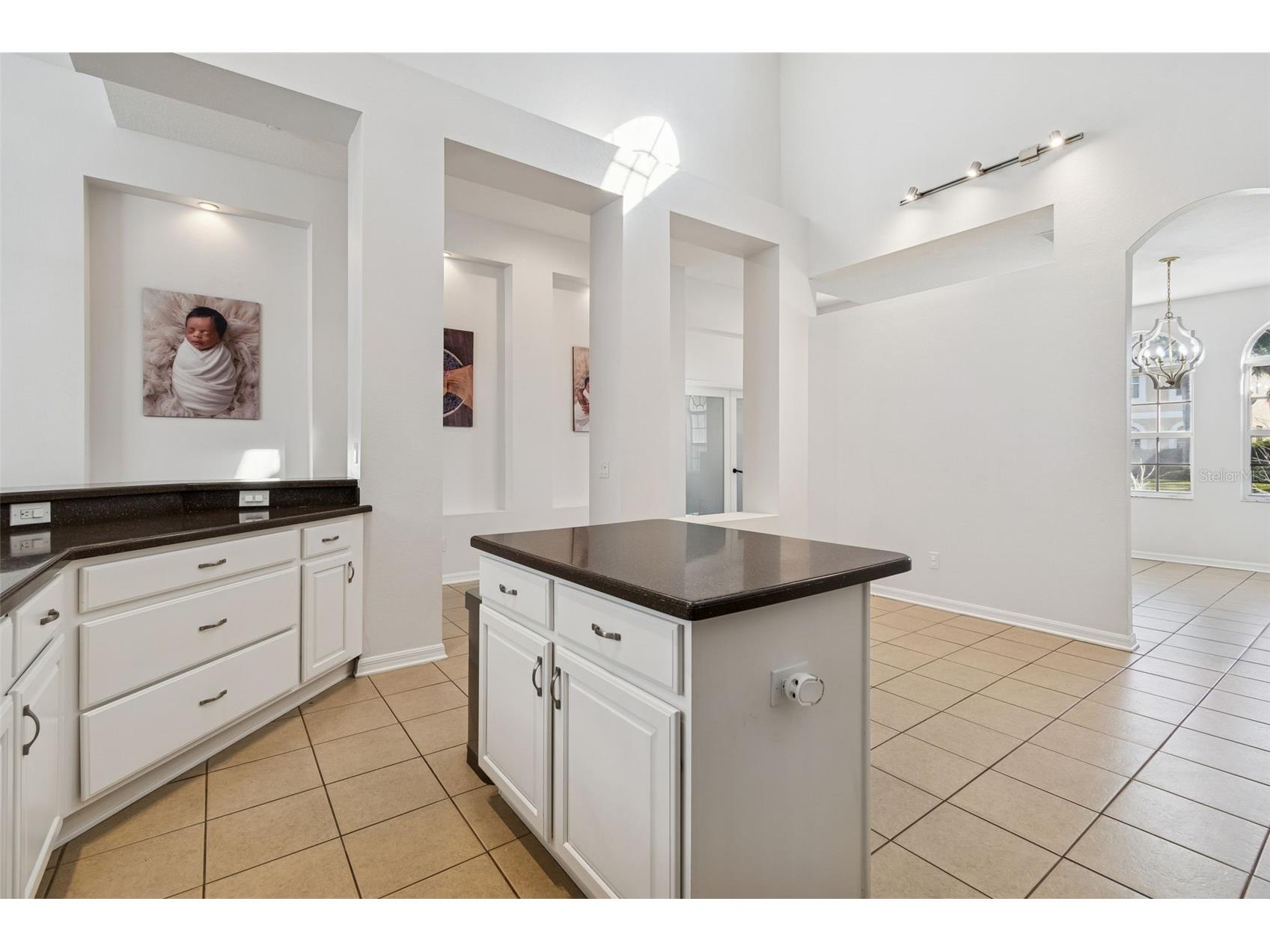 2328 Brinley Drive Trinity FL 34655 TB8472186 image19