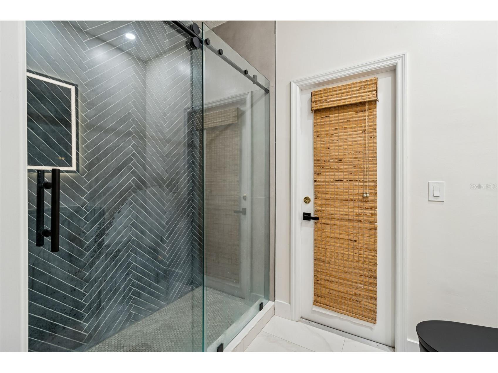 2328 Brinley Drive Trinity FL 34655 TB8472186 image37
