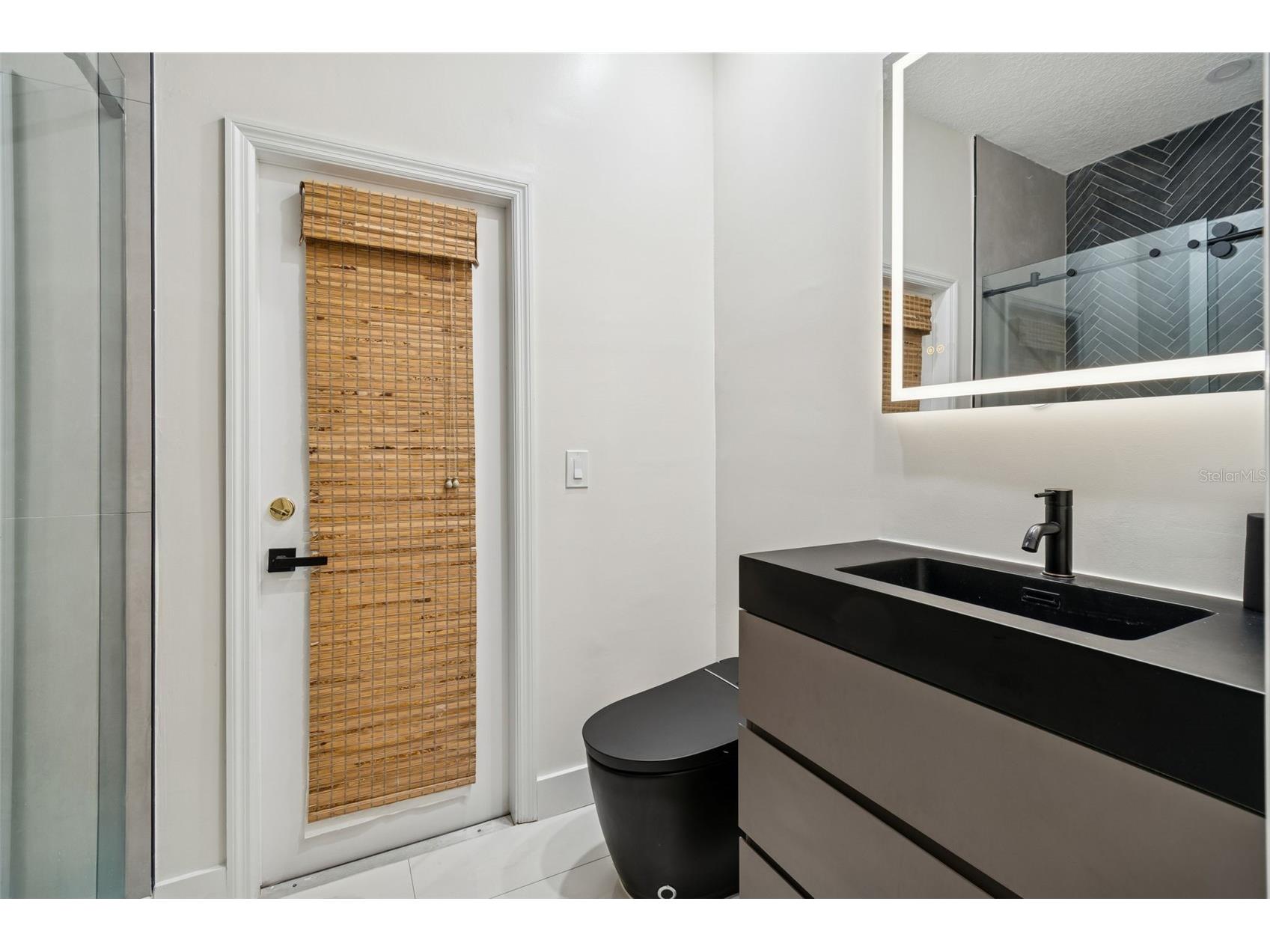 2328 Brinley Drive Trinity FL 34655 TB8472186 image39