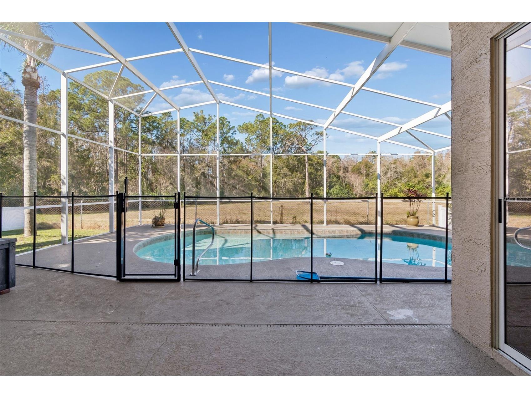 2328 Brinley Drive Trinity FL 34655 TB8472186 image49