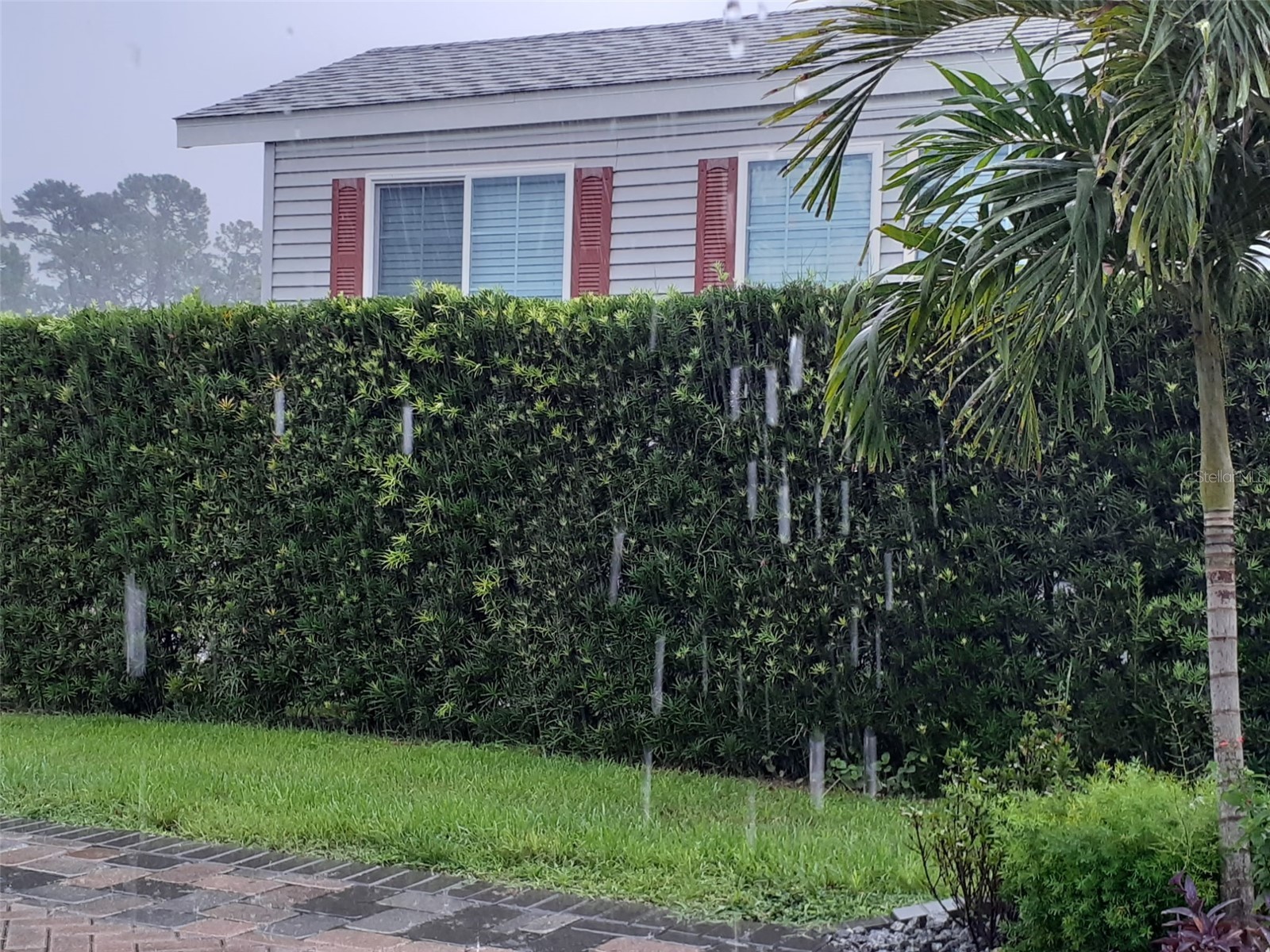 2328 Limewood Avenue #050 Clermont FL 34714 O6402459 image3