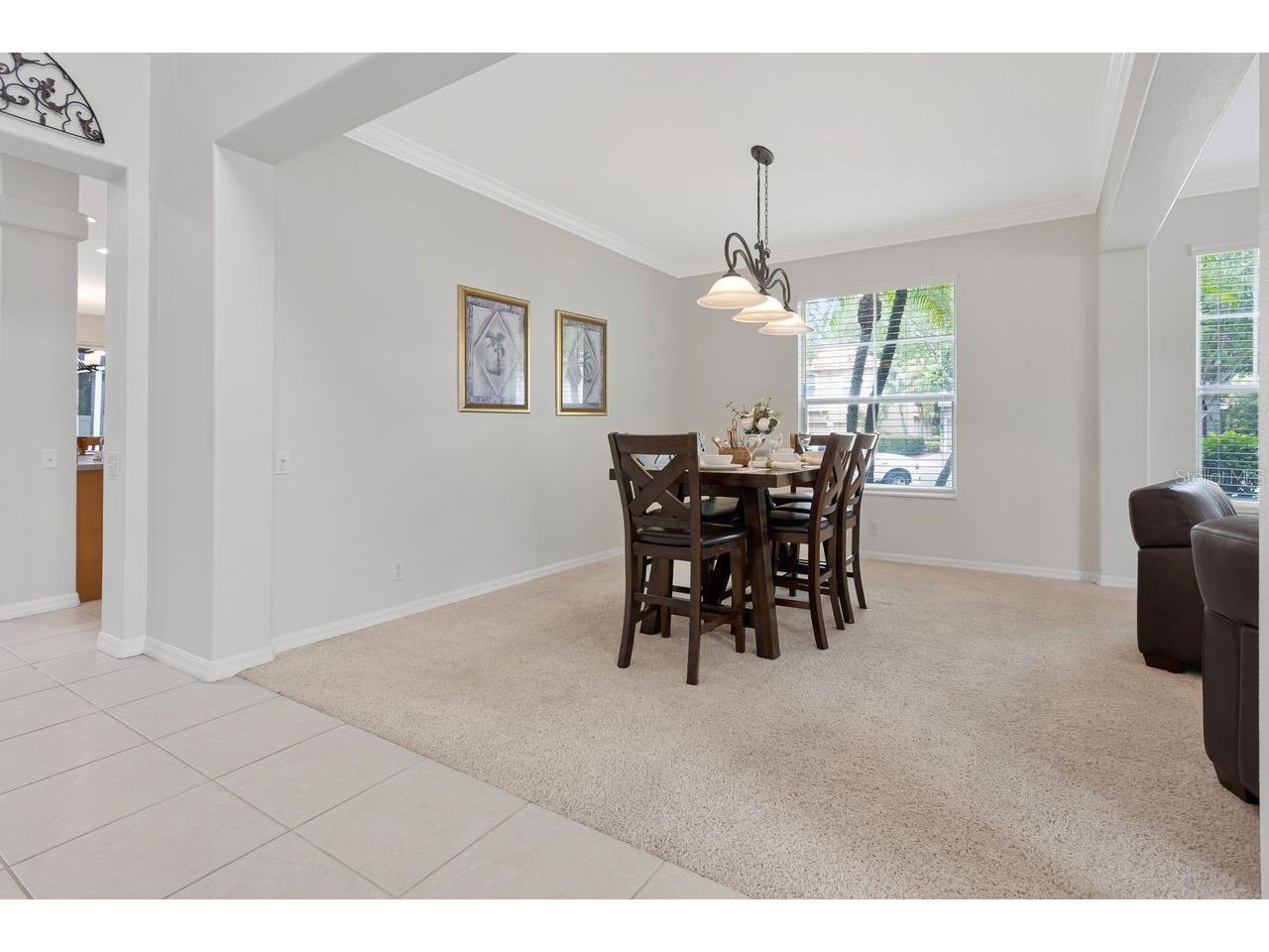 2328 Messenger Circle Safety Harbor FL 34695 TB8527013 image33