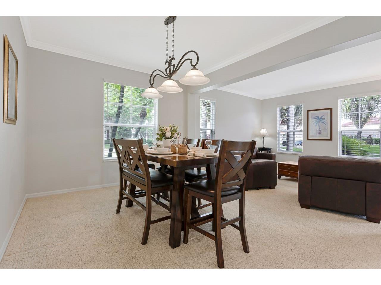 2328 Messenger Circle Safety Harbor FL 34695 TB8527013 image37