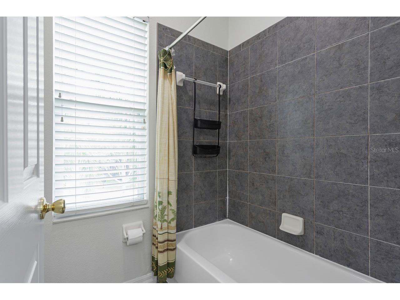 2328 Messenger Circle Safety Harbor FL 34695 TB8527013 image46