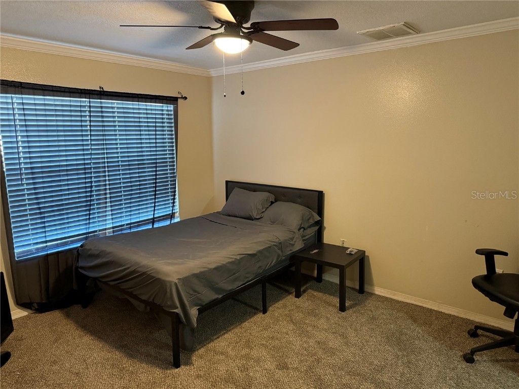 2328 Pleasure Run Drive Ruskin FL 33570 TB8430638 image12