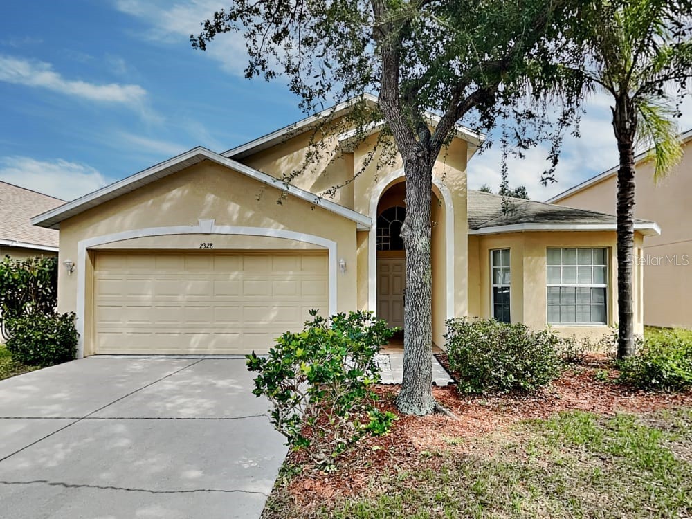 2328 Roanoke Springs Drive Ruskin FL 33570 T3480576 image1