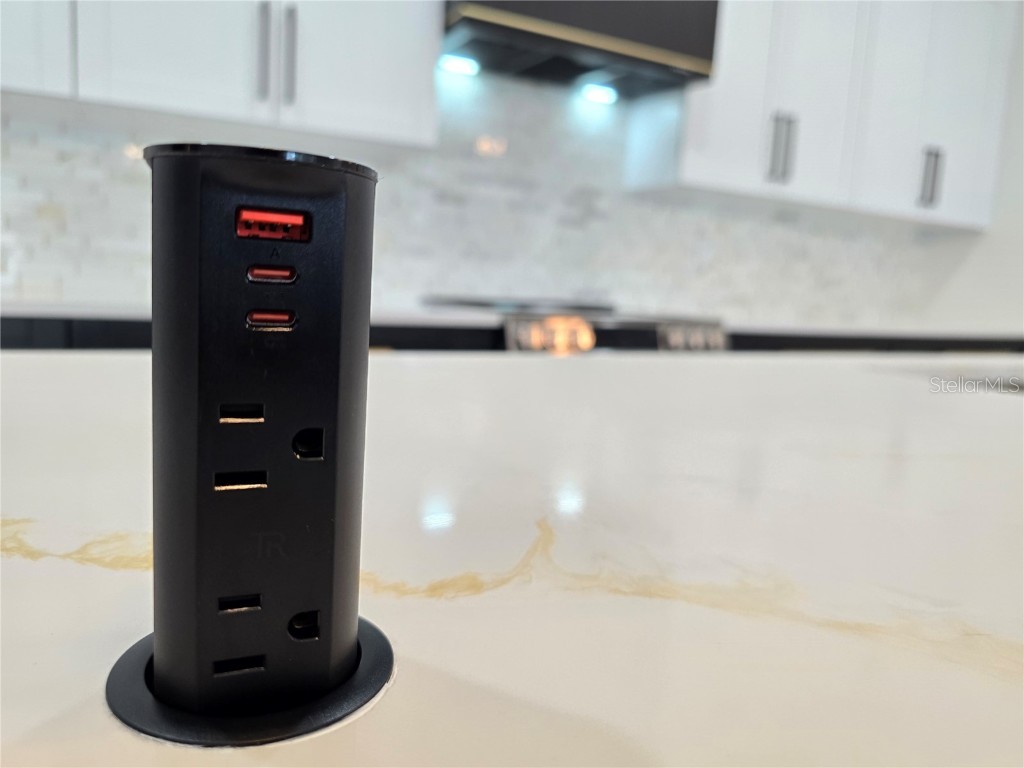 2328 W La Salle Street Tampa FL 33607 TB8394254 image15