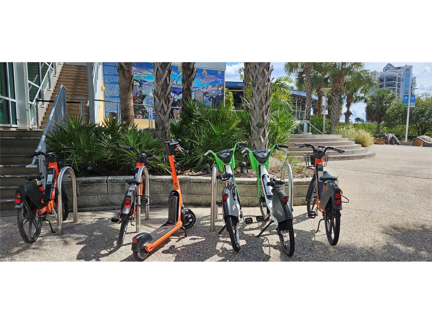 2328 W La Salle Street Tampa FL 33607 TB8394254 image54