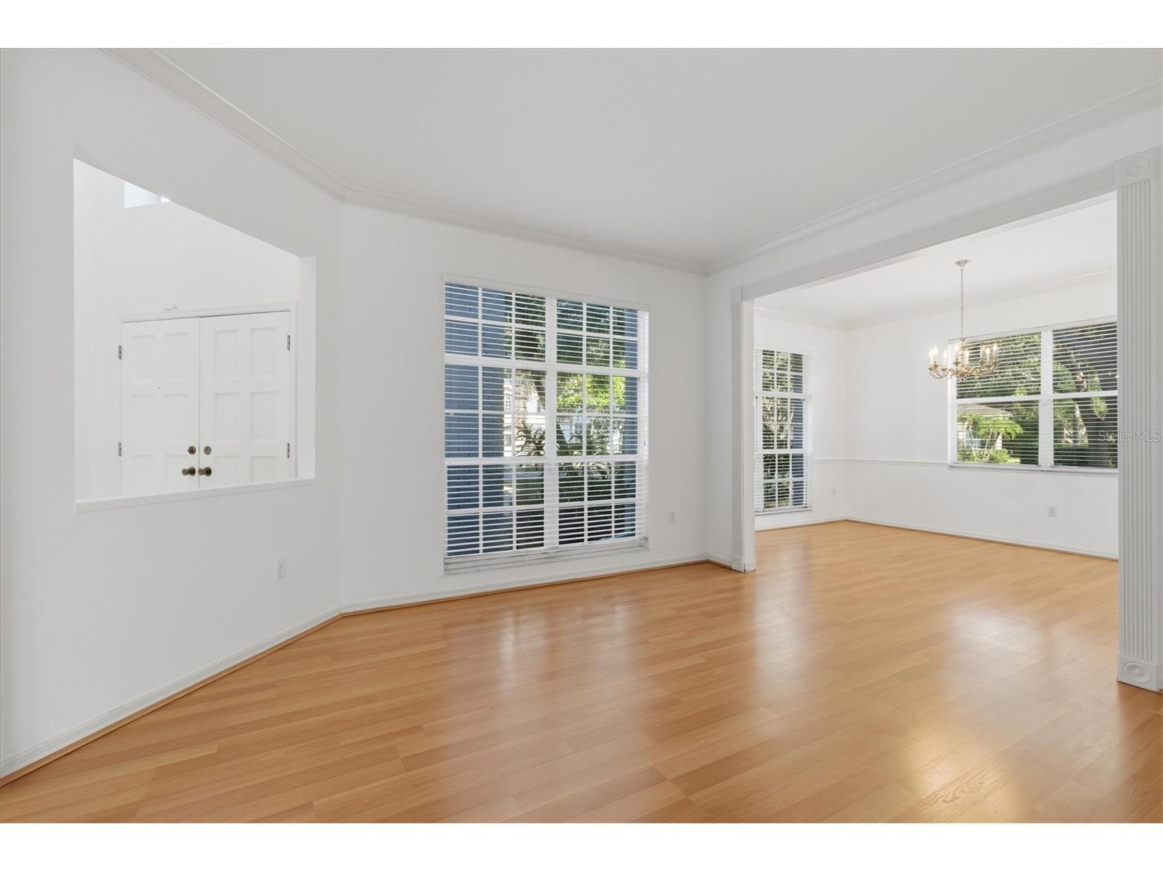 2328 Warwick Drive Oldsmar FL 34677 TB8419306 image13