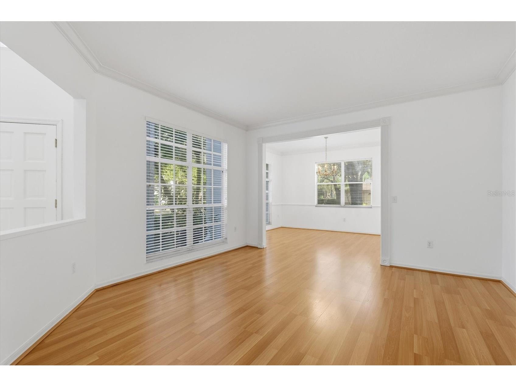 2328 Warwick Drive Oldsmar FL 34677 TB8419306 image14