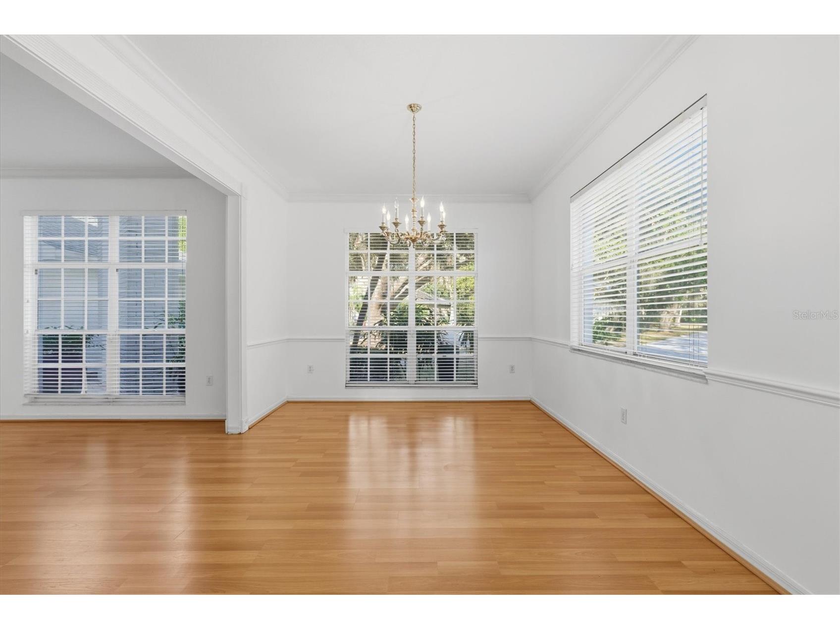 2328 Warwick Drive Oldsmar FL 34677 TB8419306 image17