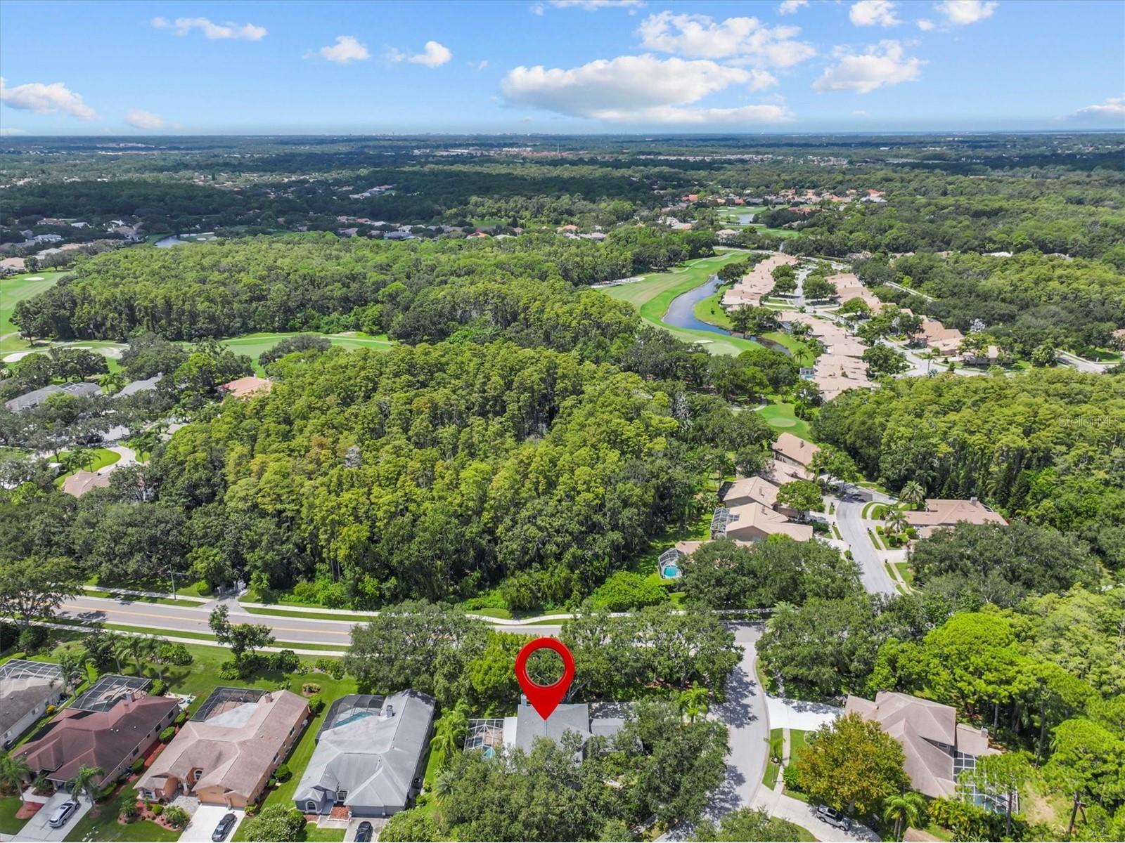 2328 Warwick Drive Oldsmar FL 34677 TB8419306 image2