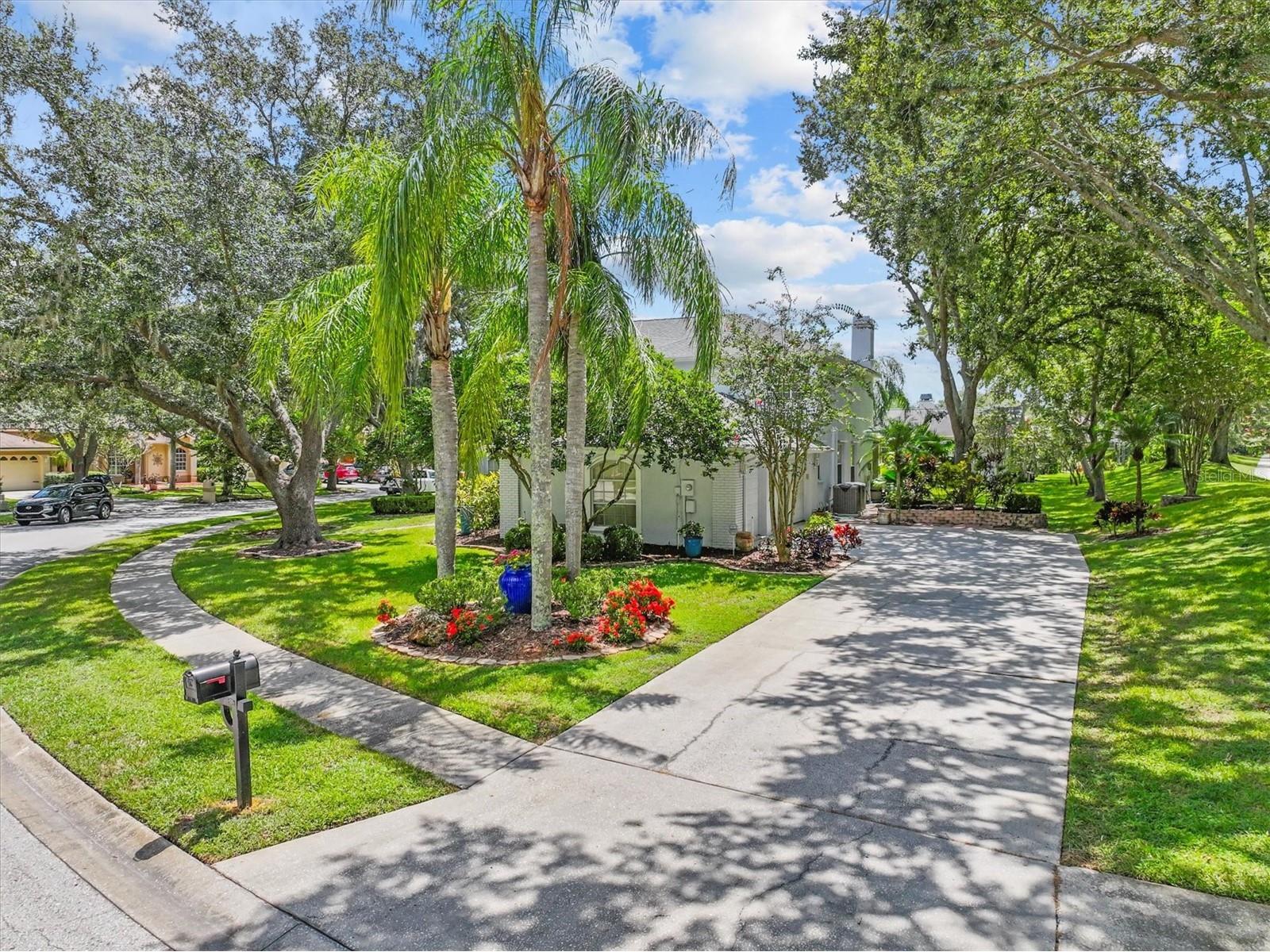 2328 Warwick Drive Oldsmar FL 34677 TB8419306 image4
