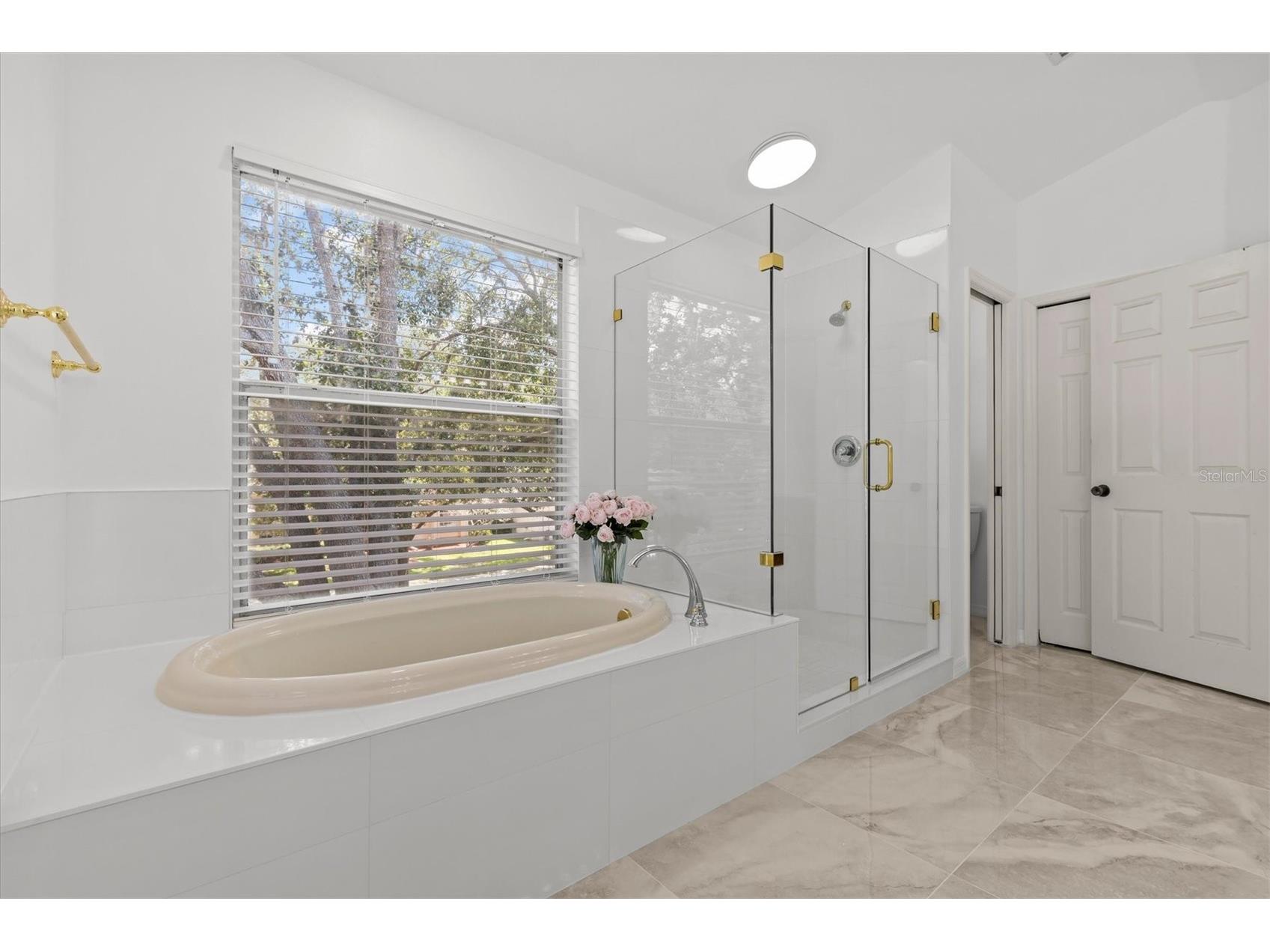 2328 Warwick Drive Oldsmar FL 34677 TB8419306 image44