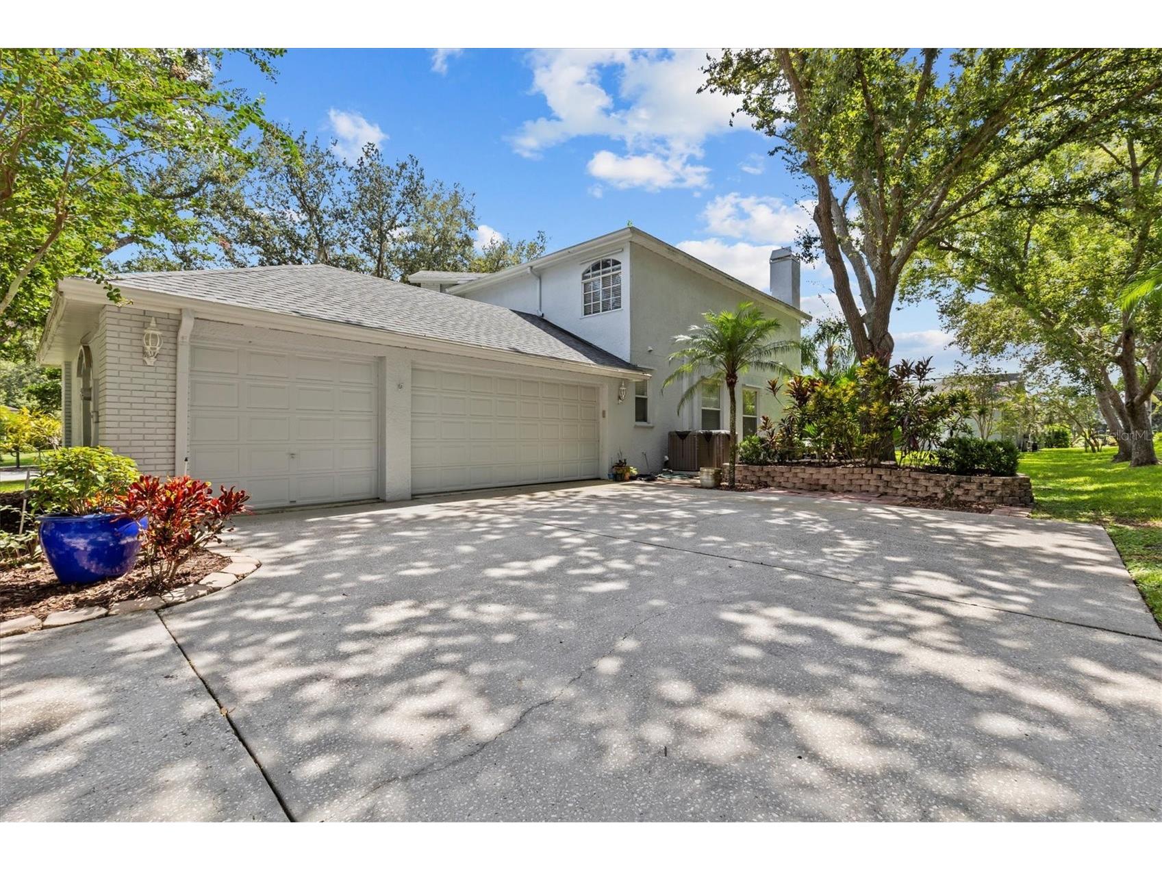 2328 Warwick Drive Oldsmar FL 34677 TB8419306 image5