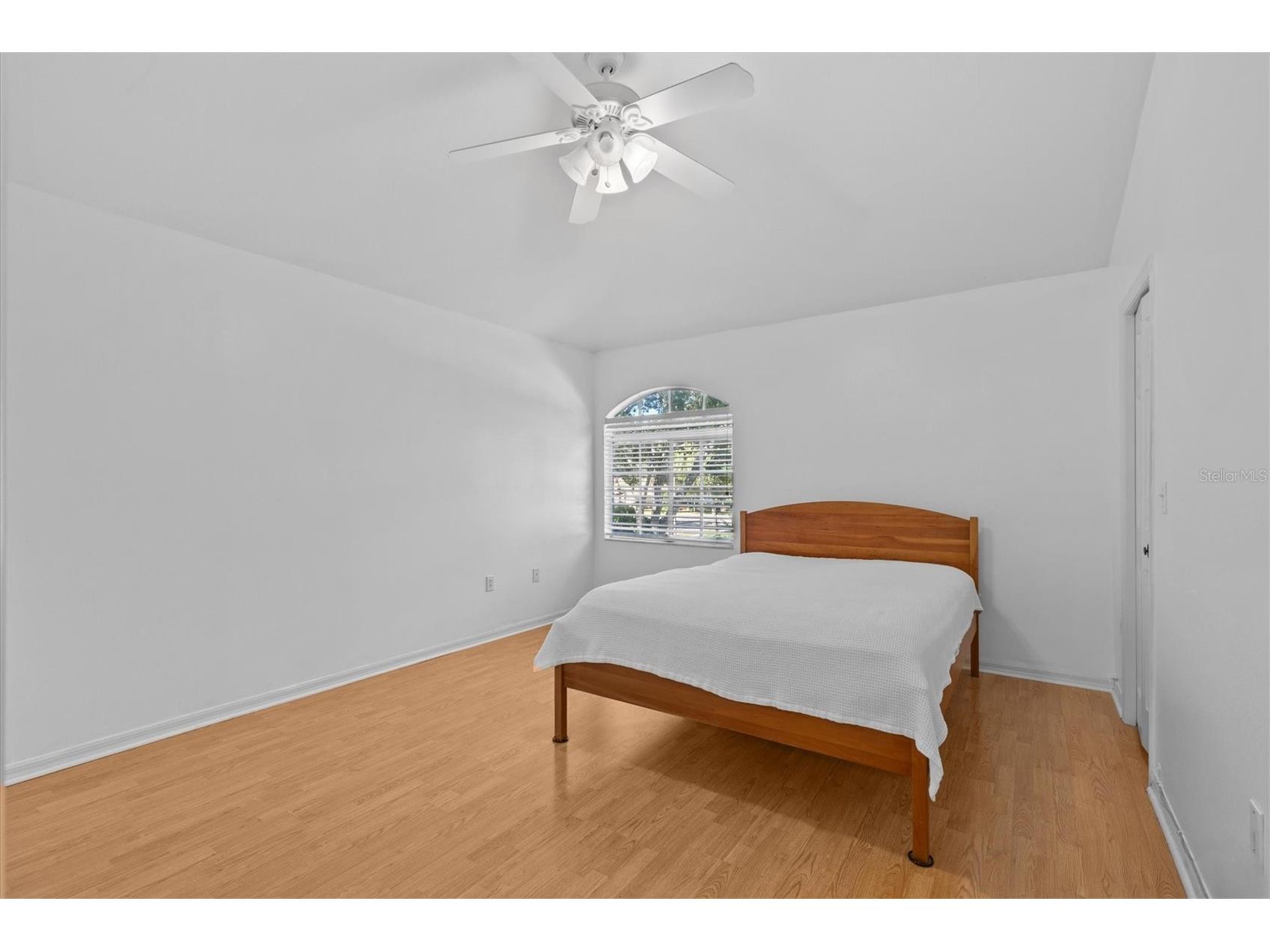 2328 Warwick Drive Oldsmar FL 34677 TB8419306 image52