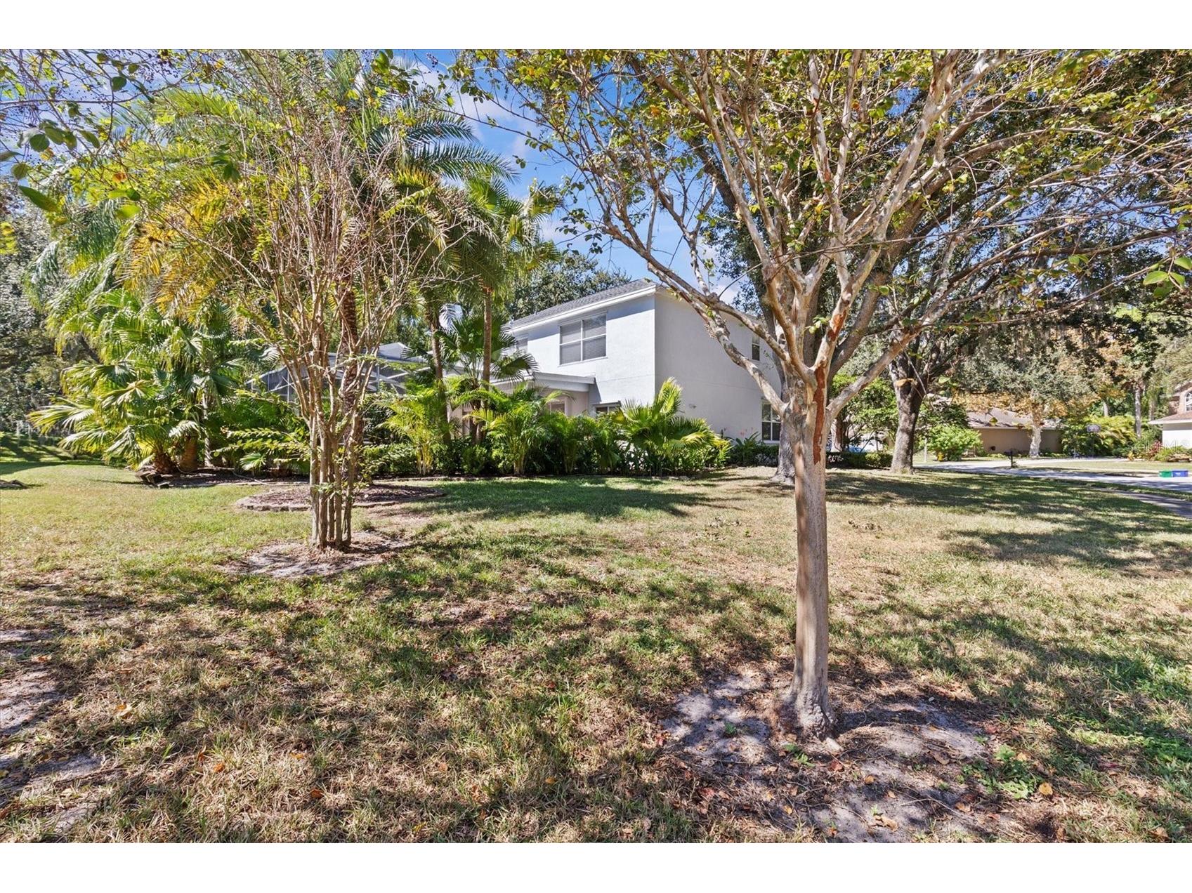 2328 Warwick Drive Oldsmar FL 34677 TB8419306 image6