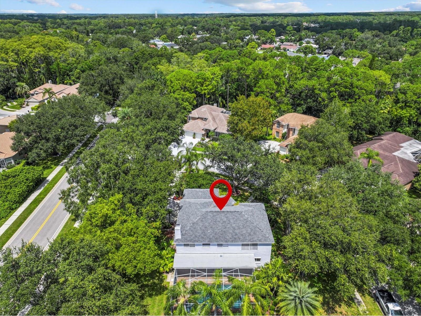 2328 Warwick Drive Oldsmar FL 34677 TB8419306 image61