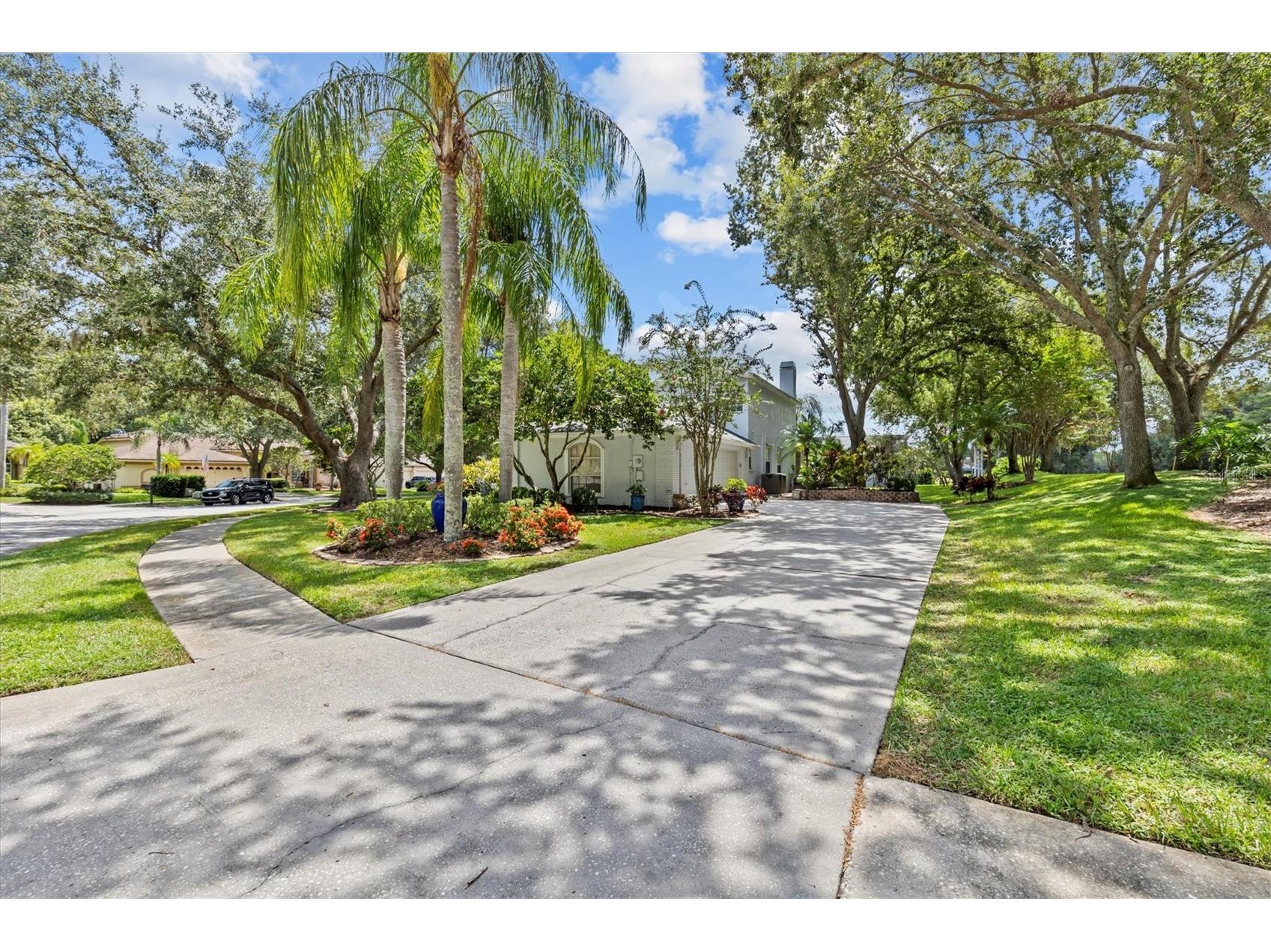 2328 Warwick Drive Oldsmar FL 34677 TB8419306 image62