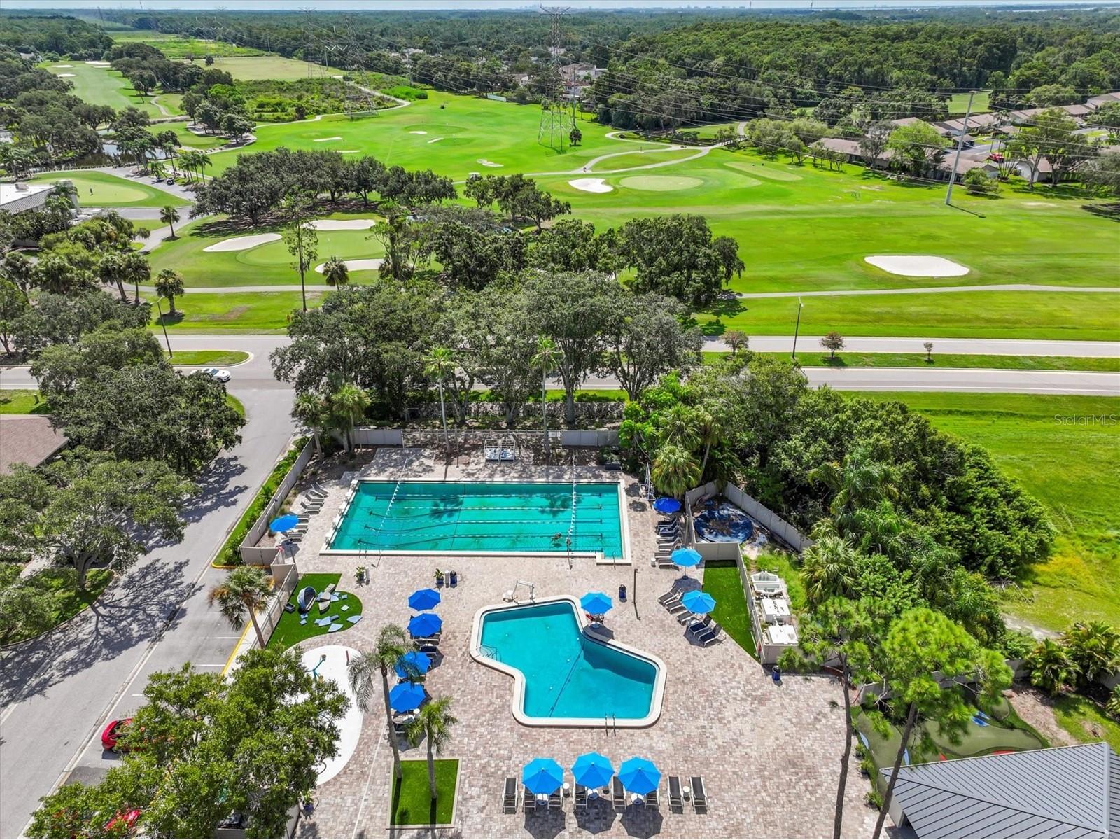 2328 Warwick Drive Oldsmar FL 34677 TB8419306 image65