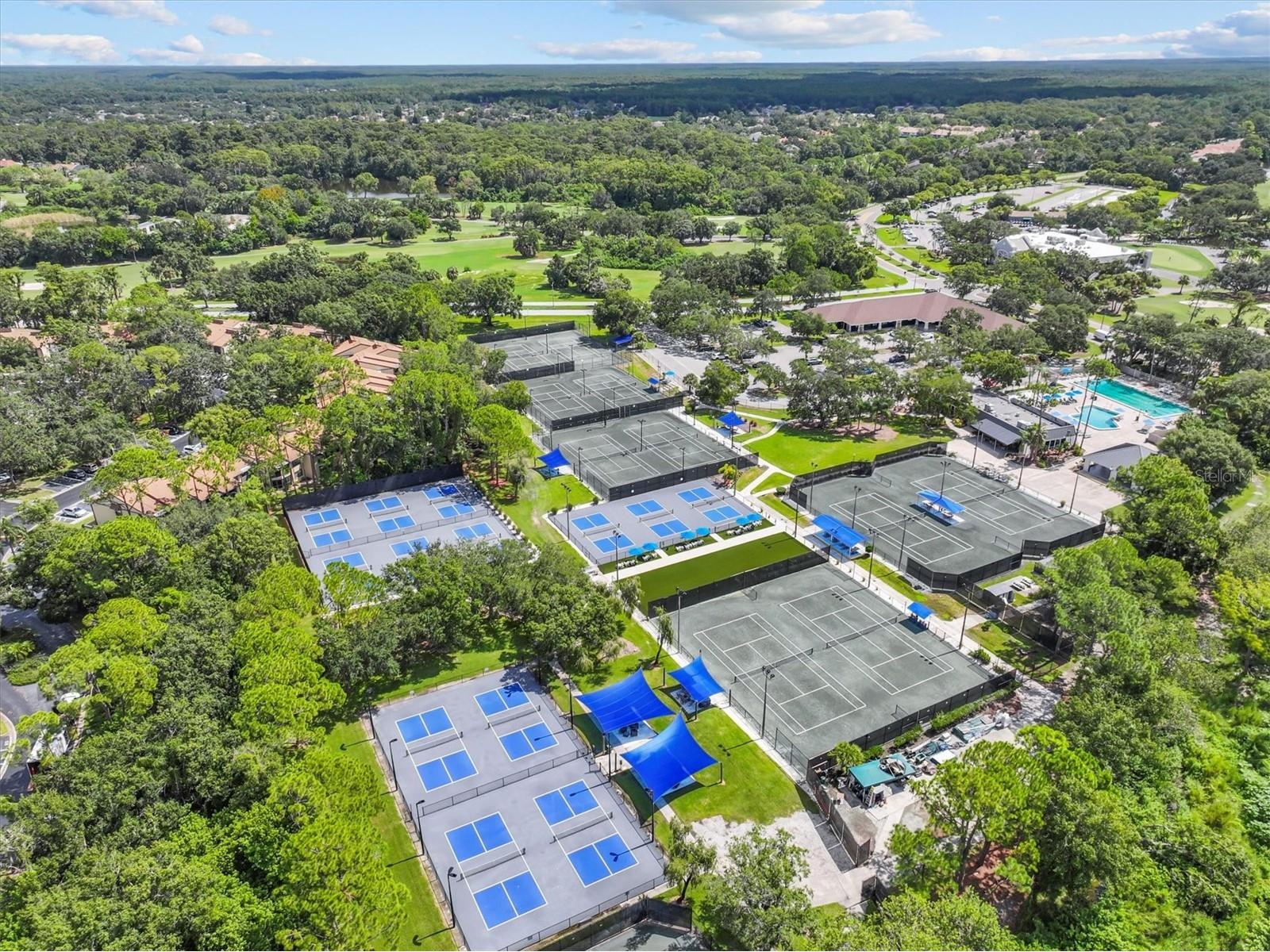 2328 Warwick Drive Oldsmar FL 34677 TB8419306 image66
