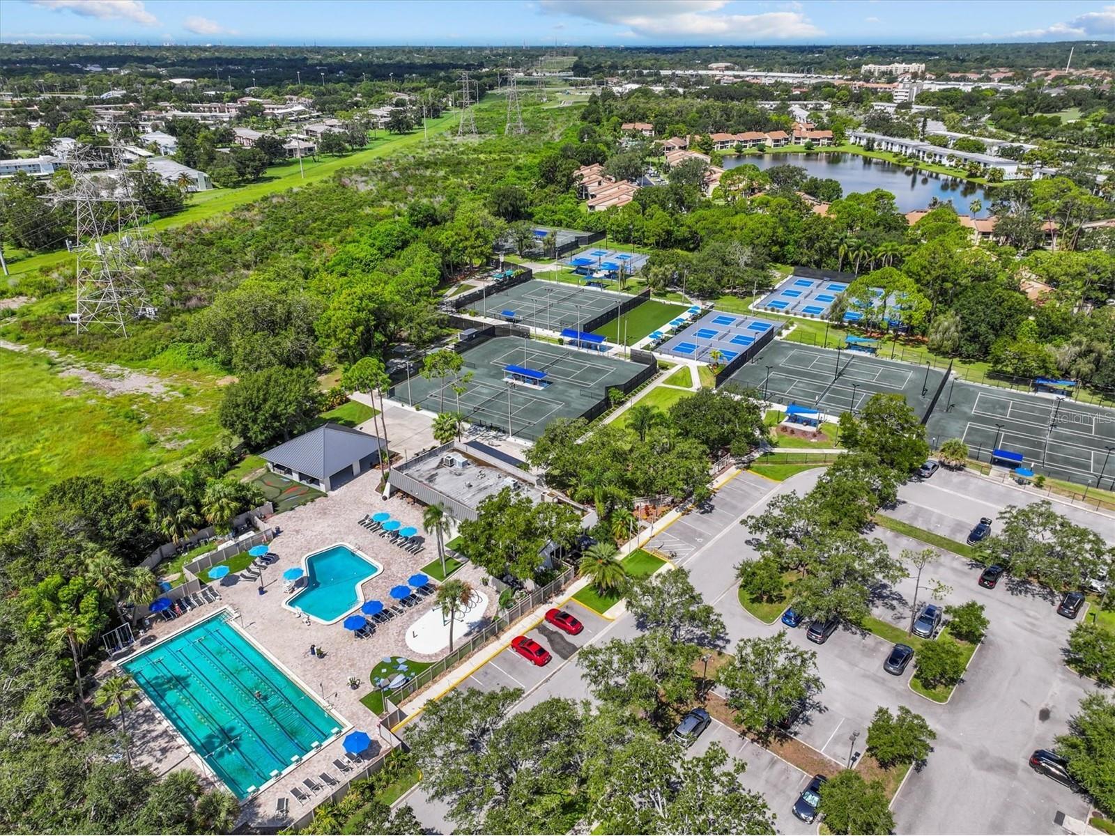 2328 Warwick Drive Oldsmar FL 34677 TB8419306 image67