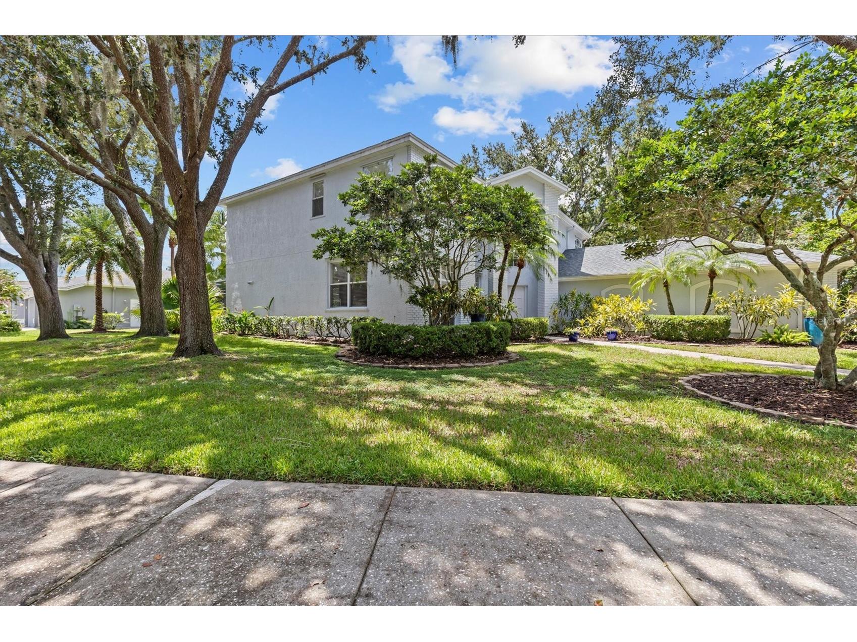 2328 Warwick Drive Oldsmar FL 34677 TB8419306 image7