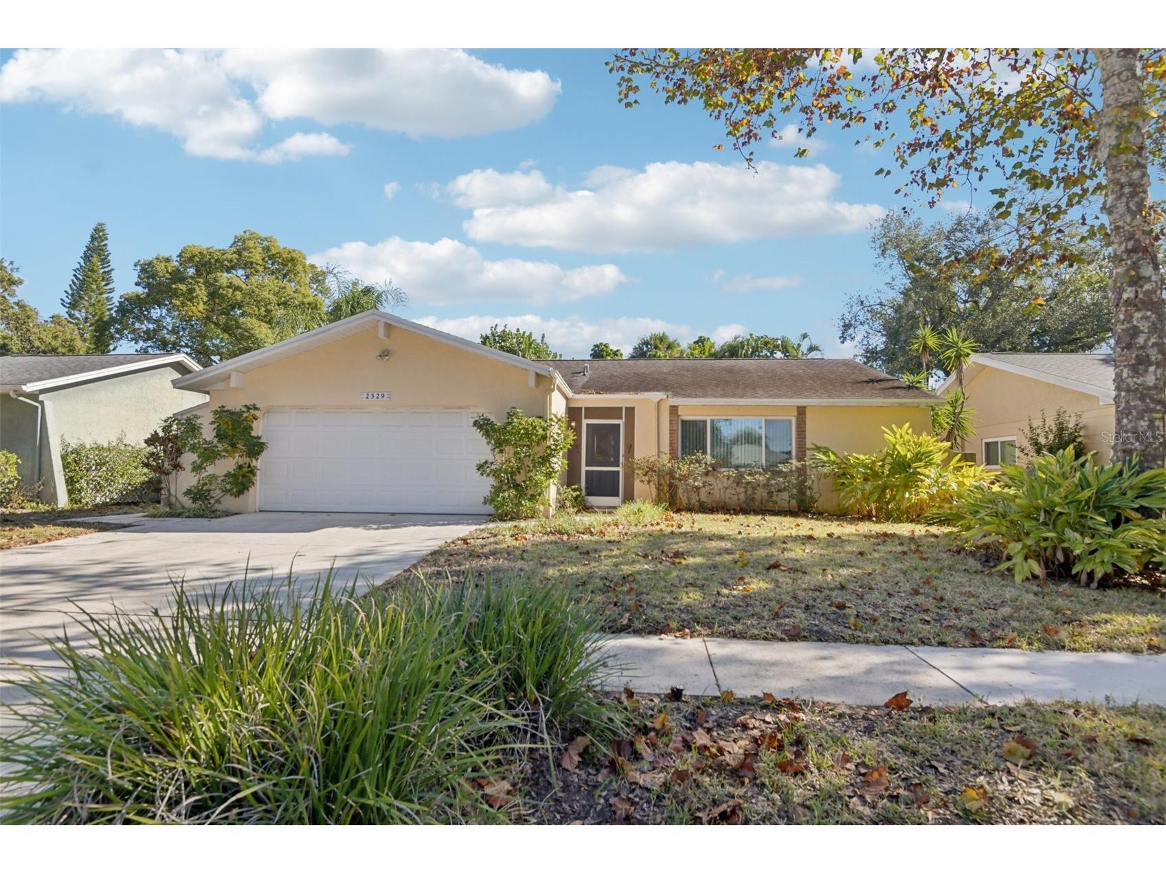 2329 E Orangehill Avenue Palm Harbor FL 34683 TB8459914 image1