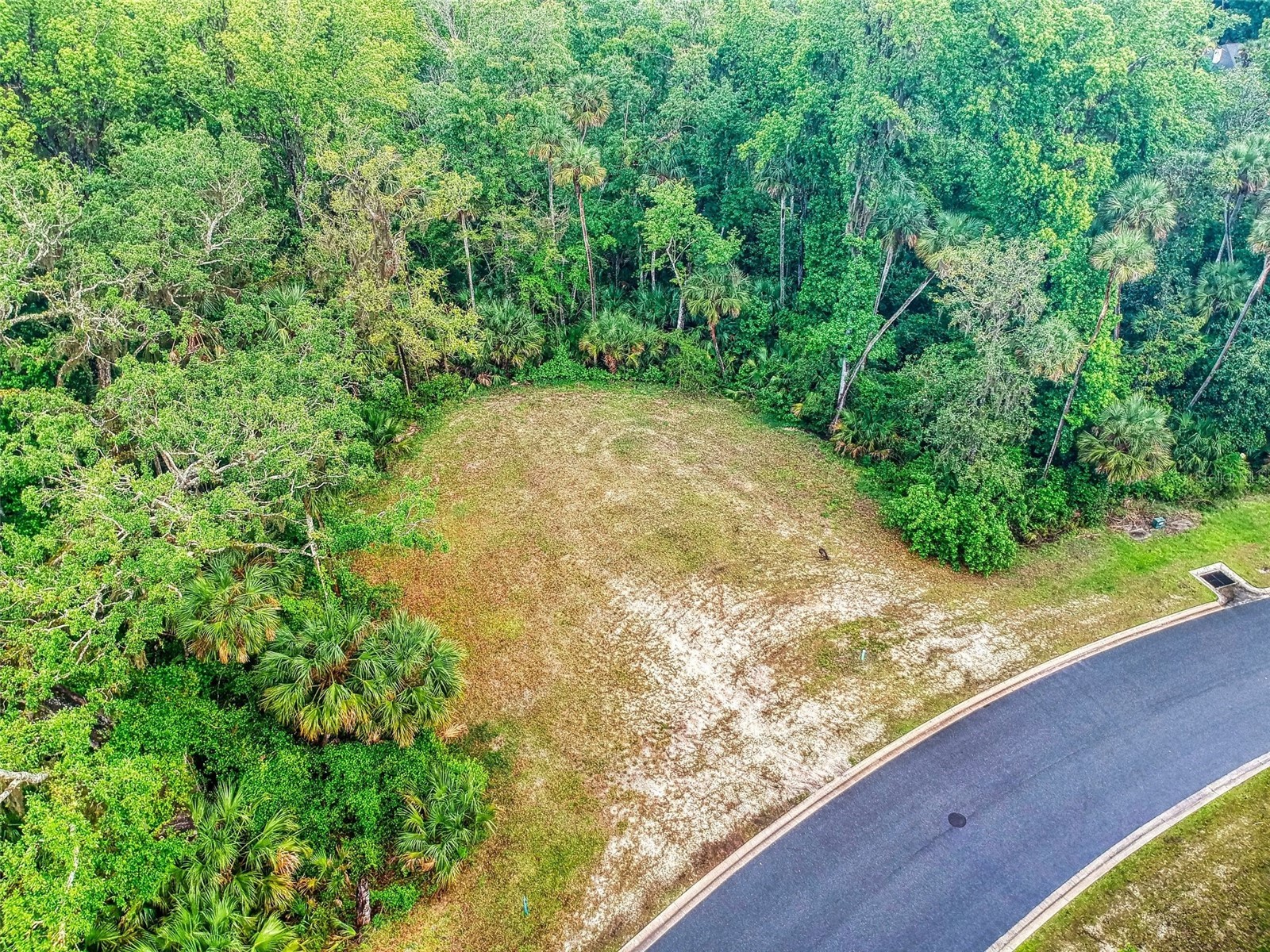 2329 Legacy Lane New Smyrna Beach FL 32168 NS1087754 image25