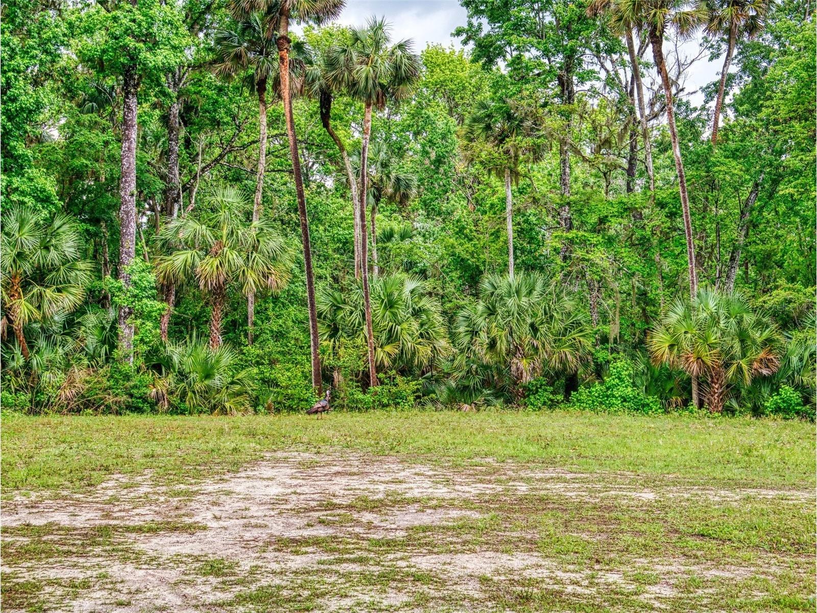 2329 Legacy Lane New Smyrna Beach FL 32168 NS1087754 image38
