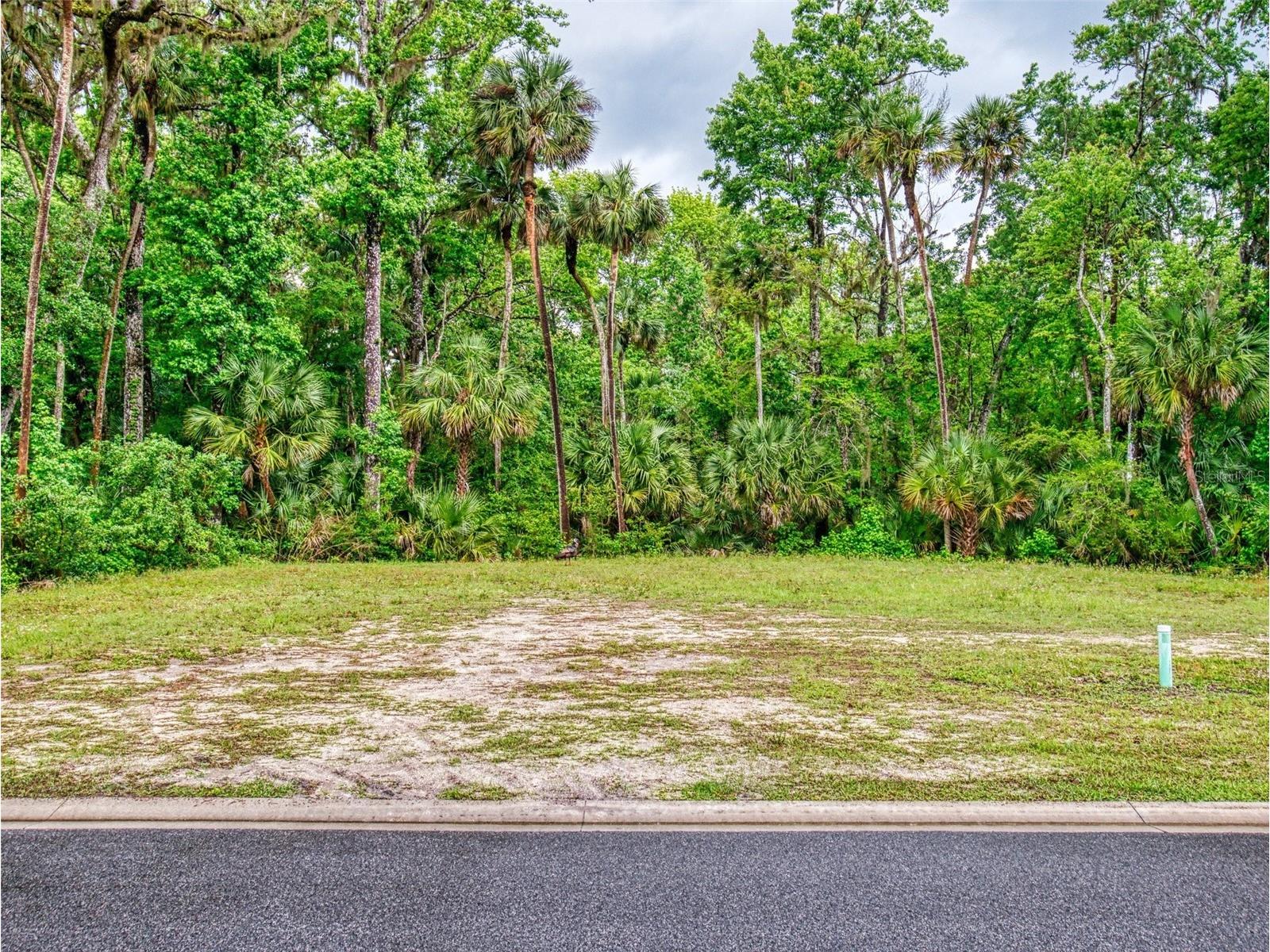 2329 Legacy Lane New Smyrna Beach FL 32168 NS1087754 image39