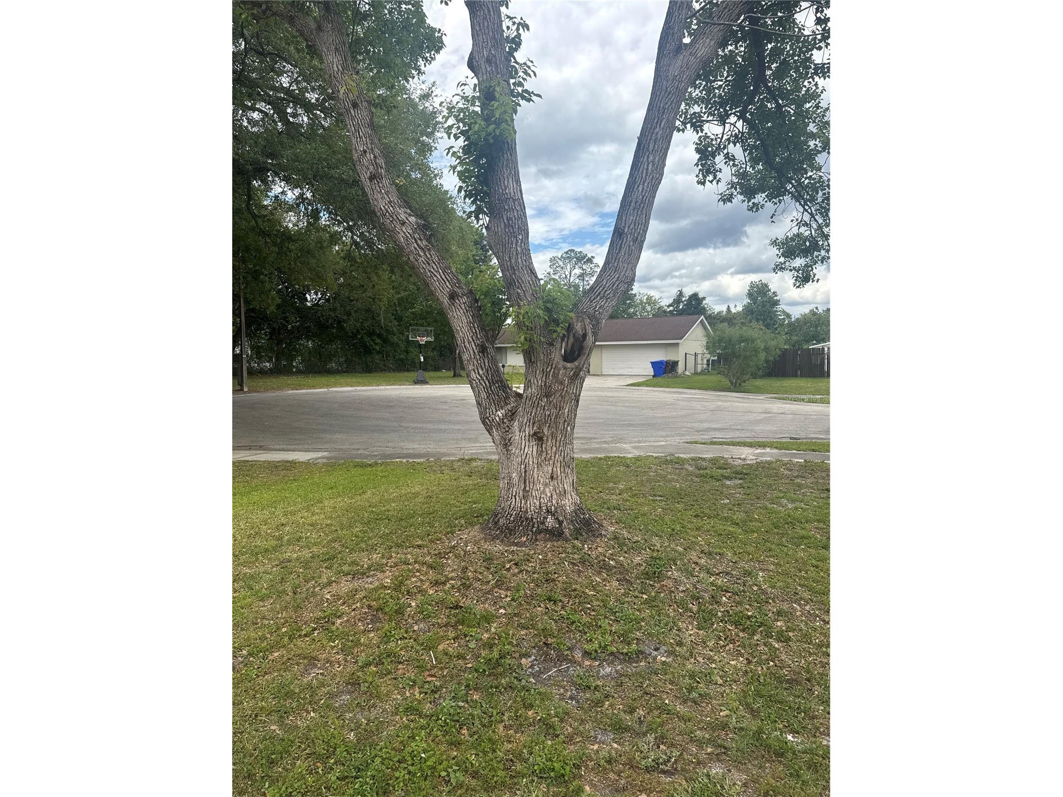 2329 Pine Tree Court Kissimmee FL 34744 S5148469 image4