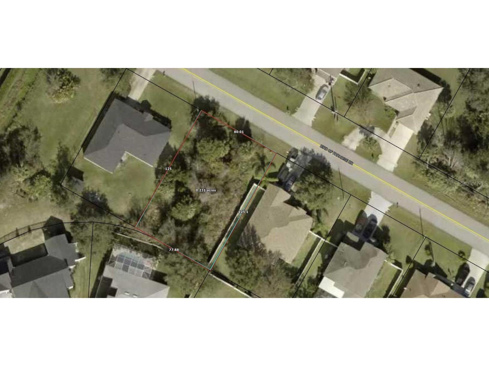 233 Bird Of Paradise Drive Palm Coast FL 32137 FC295194 image1