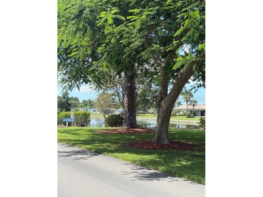 233 El Prado North Port FL 34287 TB8418939 image5